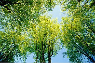 V社回应《半条命》等传闻：任何重要公布将会直接来自我们